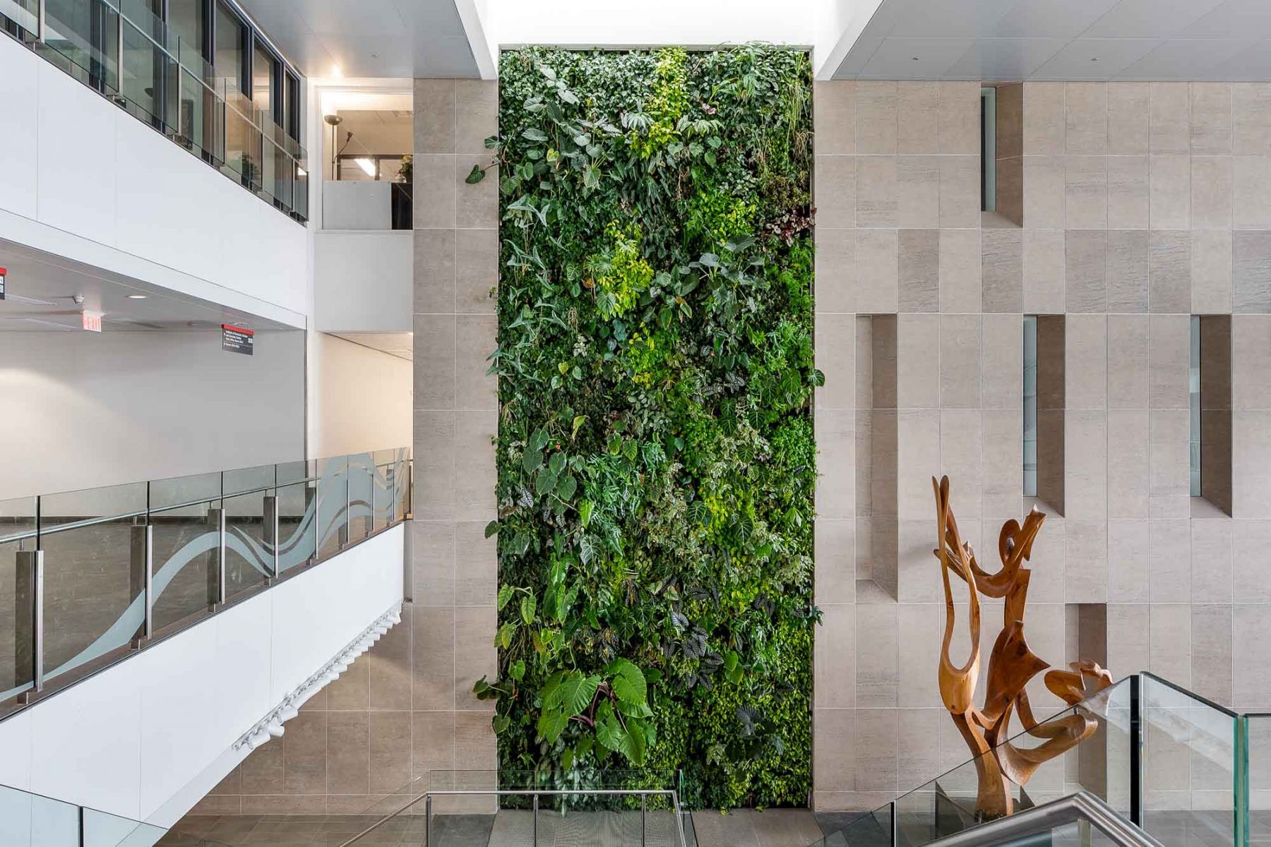 Carleton_Vertical garden_home.jpg