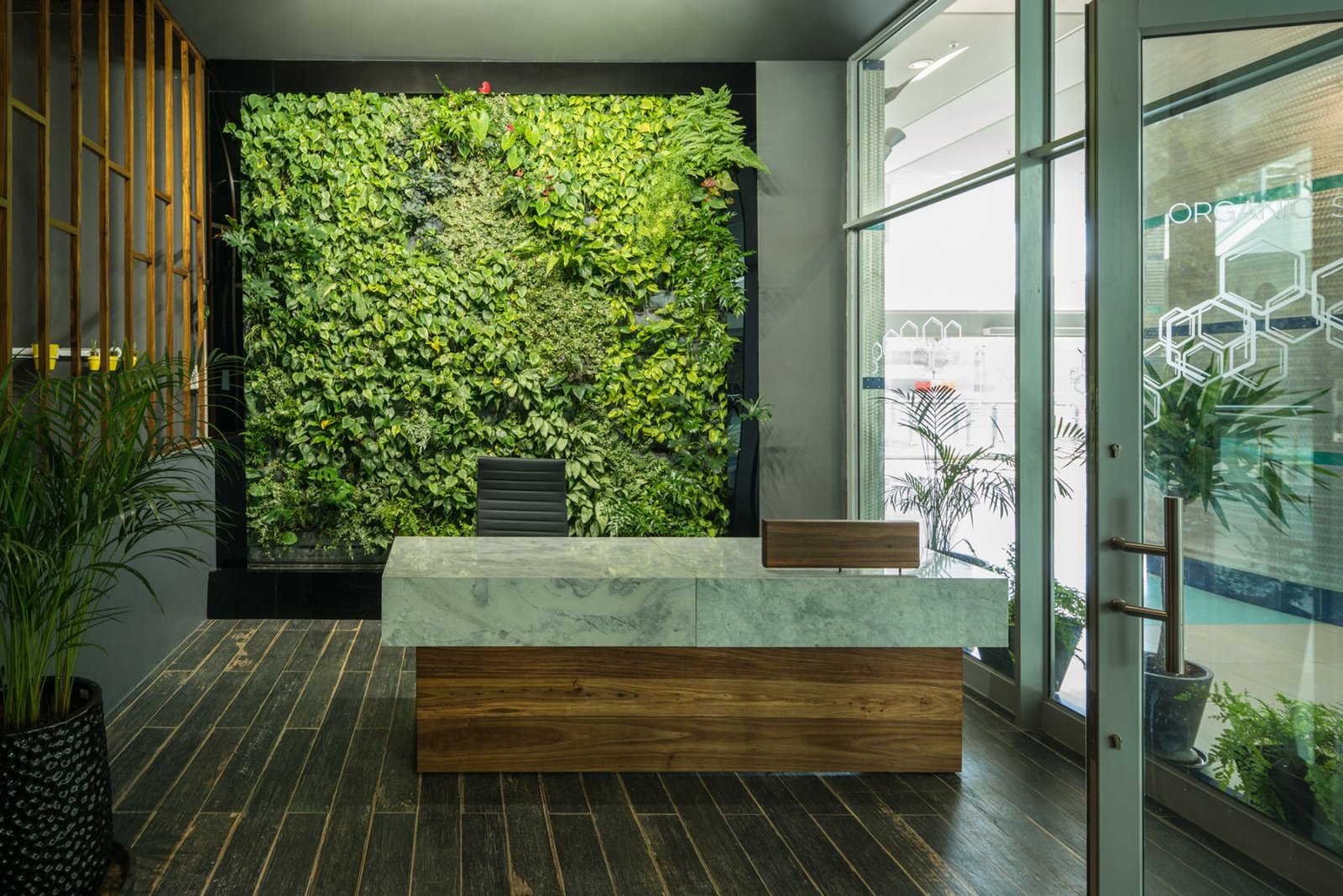 Organic Space | Vertical Garden Design