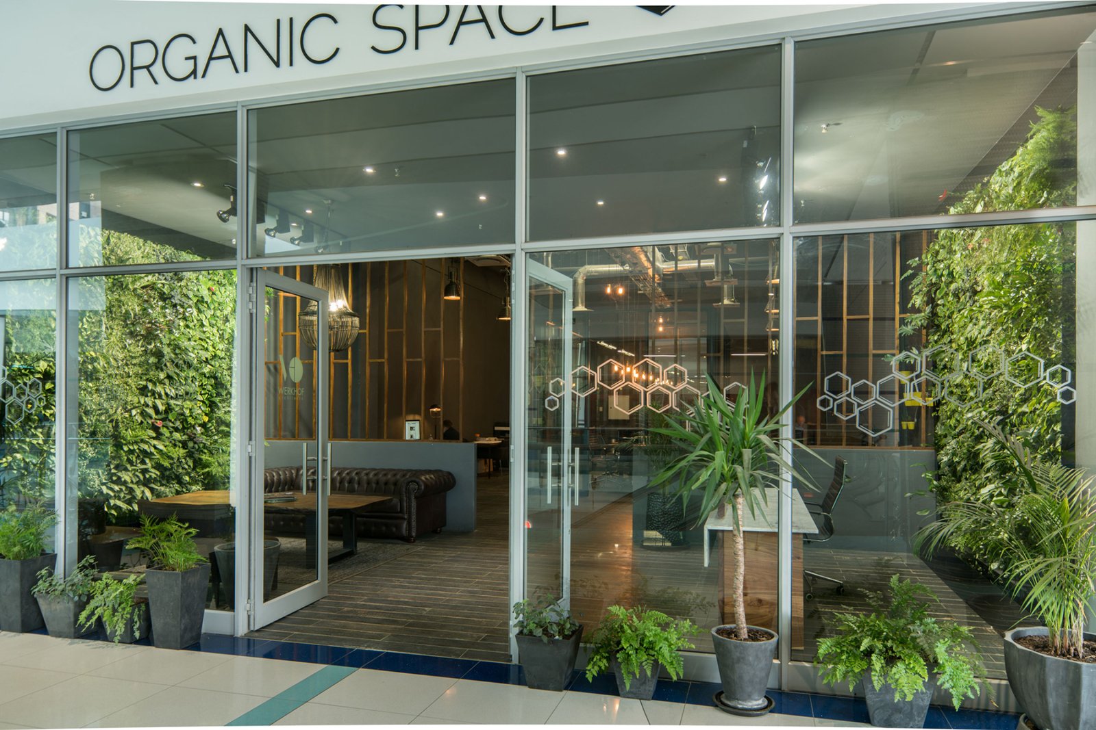 Organic Space | Vertical Garden Design